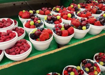 Plant-Based Diets: Benefits and Considerations