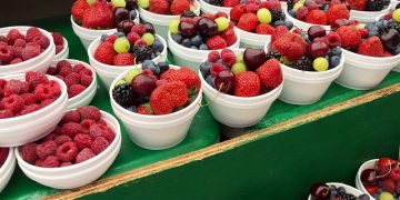 Plant-Based Diets: Benefits and Considerations