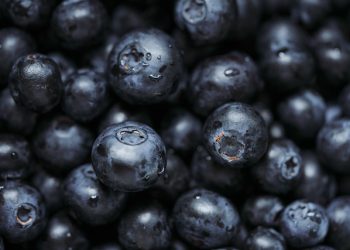 Superfoods for Boosting Metabolism and Burning Fat