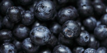 Superfoods for Boosting Metabolism and Burning Fat