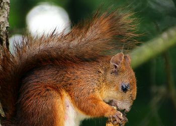 Mindful Eating: Savoring Food and Cultivating Awareness