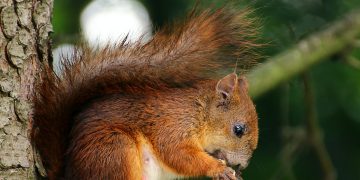 Mindful Eating: Savoring Food and Cultivating Awareness