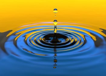 The Impact of Technology on Health and Wellness