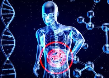 The Connection Between Gut Health and Weight Loss